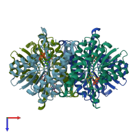 PDB entry 2bd0 coloured by chain, top view.