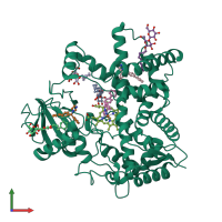 PDB entry 2bdm coloured by chain, front view.