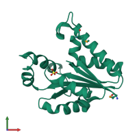 PDB entry 2bdt coloured by chain, front view.