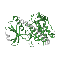 The deposited structure of PDB entry 2bdw contains 2 copies of Pfam domain PF00069 (Protein kinase domain) in Calcium/calmodulin-dependent protein kinase type II. Showing 1 copy in chain A.