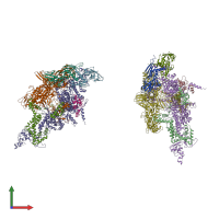 PDB entry 2be5 coloured by chain, front view.