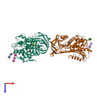 PDB entry 2beh coloured by chain, top view.