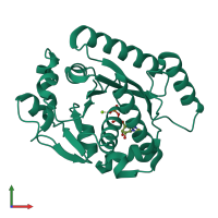 PDB entry 2bej coloured by chain, front view.