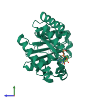 PDB entry 2bej coloured by chain, side view.