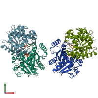 PDB entry 2bek coloured by chain, front view.