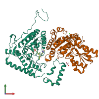 PDB entry 2bew coloured by chain, front view.