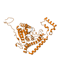 The deposited structure of PDB entry 2bfb contains 1 copy of CATH domain 3.40.50.970 (Rossmann fold) in 2-oxoisovalerate dehydrogenase subunit alpha, mitochondrial. Showing 1 copy in chain A.