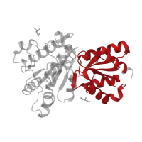 The deposited structure of PDB entry 2bfb contains 1 copy of CATH domain 3.40.50.920 (Rossmann fold) in 2-oxoisovalerate dehydrogenase subunit beta, mitochondrial. Showing 1 copy in chain B.
