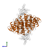 2-oxoisovalerate dehydrogenase subunit beta, mitochondrial in PDB entry 2bfe, assembly 1, side view.