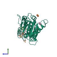 PDB entry 2bgi coloured by chain, side view.