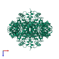 Homo tetrameric assembly 1 of PDB entry 2bgk coloured by chemically distinct molecules, top view.