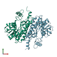 PDB entry 2bgk coloured by chain, front view.