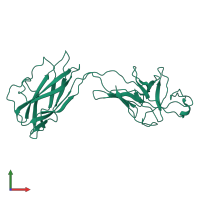 Flagellar hook protein FlgE in PDB entry 2bgz, assembly 1, front view.