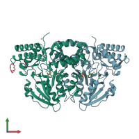 PDB entry 2bia coloured by chain, front view.