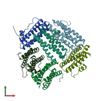 PDB entry 2bk6 coloured by chain, front view.