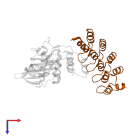 DESIGNED ANKYRIN REPEAT INHIBITOR AR_3A in PDB entry 2bkk, assembly 1, top view.