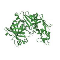 The deposited structure of PDB entry 2bks contains 2 copies of Pfam domain PF00026 (Eukaryotic aspartyl protease) in Renin. Showing 1 copy in chain A.
