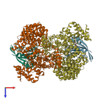 PDB entry 2bku coloured by chain, top view.