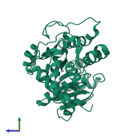 PDB entry 2bll coloured by chain, side view.