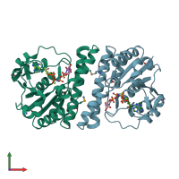 PDB entry 2bmu coloured by chain, front view.