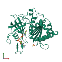 PDB entry 2bmw coloured by chain, front view.