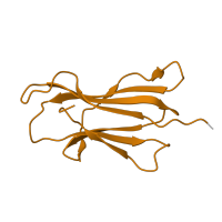 The deposited structure of PDB entry 2bnr contains 1 copy of SCOP domain 48942 (C1 set domains (antibody constant domain-like)) in Beta-2-microglobulin. Showing 1 copy in chain B.