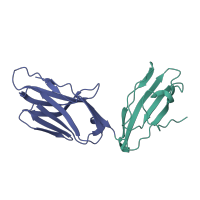 The deposited structure of PDB entry 2bnr contains 2 copies of CATH domain 2.60.40.10 (Immunoglobulin-like) in T cell receptor alpha chain constant. Showing 2 copies in chain D.