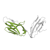 The deposited structure of PDB entry 2bnr contains 1 copy of Pfam domain PF07686 (Immunoglobulin V-set domain) in T cell receptor alpha chain constant. Showing 1 copy in chain D.