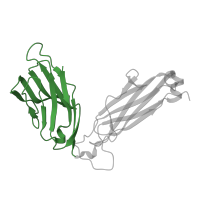 The deposited structure of PDB entry 2bnr contains 1 copy of SCOP domain 48727 (V set domains (antibody variable domain-like)) in T cell receptor beta constant 1. Showing 1 copy in chain E.