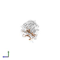 Beta-2-microglobulin in PDB entry 2bnr, assembly 1, side view.