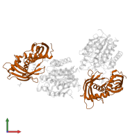 Latexin in PDB entry 2bo9, assembly 1, front view.