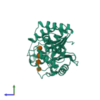 PDB entry 2bod coloured by chain, side view.