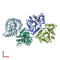 PDB entry 2bp1 coloured by chain, front view.