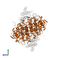 2-oxoisovalerate dehydrogenase subunit beta in PDB entry 2bp7, assembly 1, side view.
