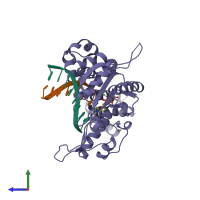 PDB entry 2bpf coloured by chain, side view.