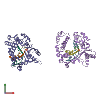 PDB entry 2bpg coloured by chain, front view.