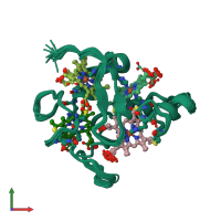 PDB entry 2bpn coloured by chain, ensemble of 20 models, front view.