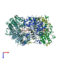 PDB entry 2br4 coloured by chain, top view.