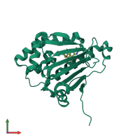 PDB entry 2brc coloured by chain, front view.