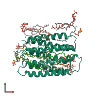 PDB entry 2brd coloured by chain, front view.