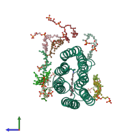 PDB entry 2brd coloured by chain, side view.