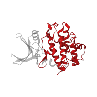 The deposited structure of PDB entry 2brh contains 1 copy of CATH domain 1.10.510.10 (Transferase(Phosphotransferase); domain 1) in Serine/threonine-protein kinase Chk1. Showing 1 copy in chain A.