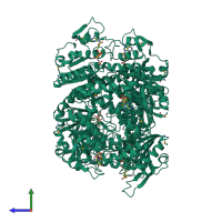 Homo hexameric assembly 1 of PDB entry 2bri coloured by chemically distinct molecules, side view.