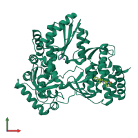 PDB entry 2brl coloured by chain, front view.