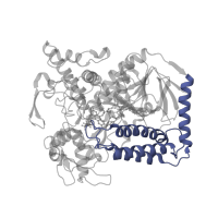 The deposited structure of PDB entry 2bs3 contains 2 copies of CATH domain 1.20.58.100 (Methane Monooxygenase Hydroxylase; Chain G, domain 1) in Fumarate reductase flavoprotein subunit. Showing 1 copy in chain A.