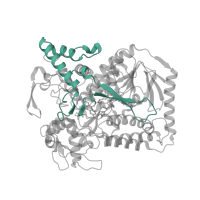 The deposited structure of PDB entry 2bs3 contains 2 copies of CATH domain 3.10.20.820 (Ubiquitin-like (UB roll)) in Fumarate reductase flavoprotein subunit. Showing 1 copy in chain A.