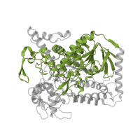 The deposited structure of PDB entry 2bs3 contains 2 copies of CATH domain 3.50.50.60 (FAD/NAD(P)-binding domain) in Fumarate reductase flavoprotein subunit. Showing 1 copy in chain A.