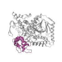 The deposited structure of PDB entry 2bs3 contains 2 copies of CATH domain 3.90.700.10 (Flavocytochrome C3; Chain A, domain 1) in Fumarate reductase flavoprotein subunit. Showing 1 copy in chain A.
