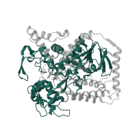The deposited structure of PDB entry 2bs3 contains 2 copies of Pfam domain PF00890 (FAD binding domain) in Fumarate reductase flavoprotein subunit. Showing 1 copy in chain A.