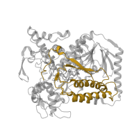 The deposited structure of PDB entry 2bs3 contains 2 copies of Pfam domain PF02910 (Fumarate reductase flavoprotein C-term) in Fumarate reductase flavoprotein subunit. Showing 1 copy in chain A.